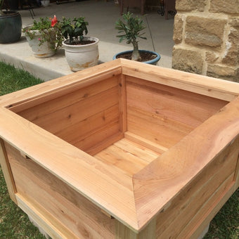 Garden Boxes