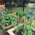 Garden Boxes