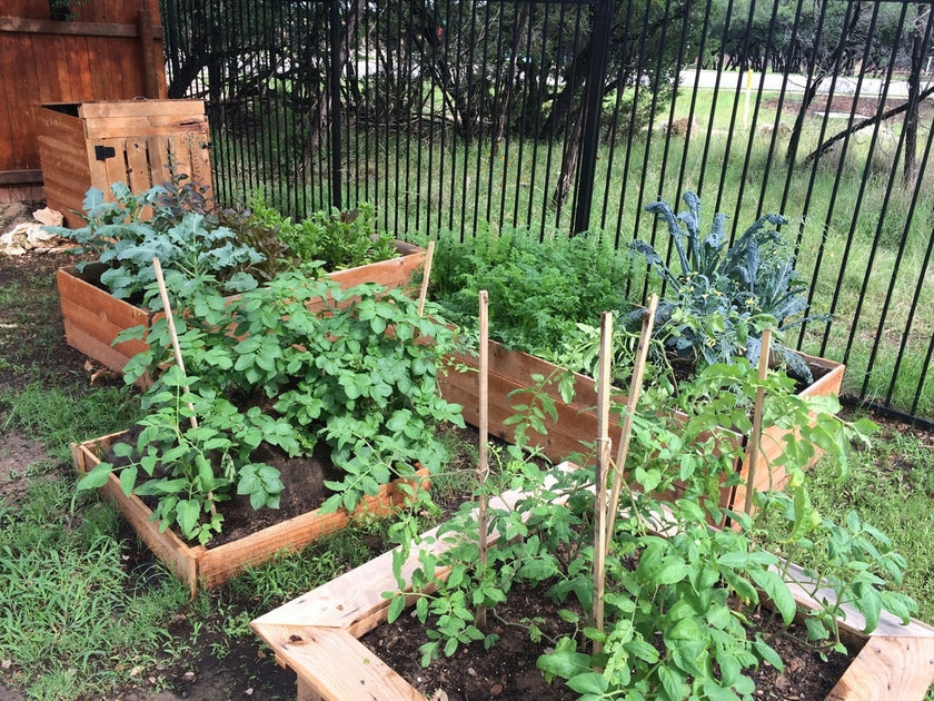Garden Boxes